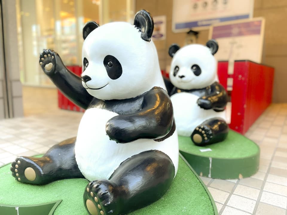 上野の双子のパンダの画像